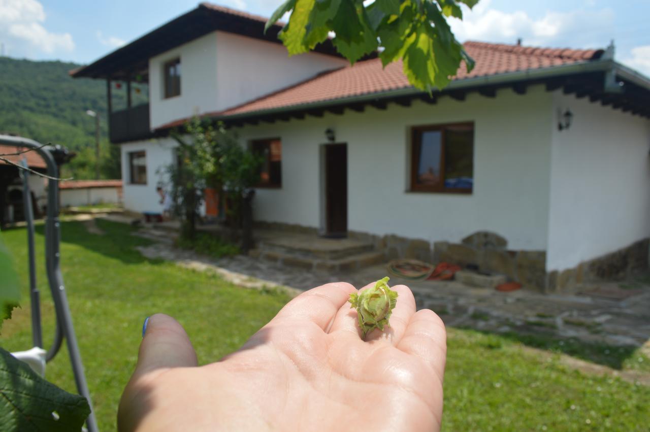 Guest House Yana Tŭrkasheni Zewnętrze zdjęcie