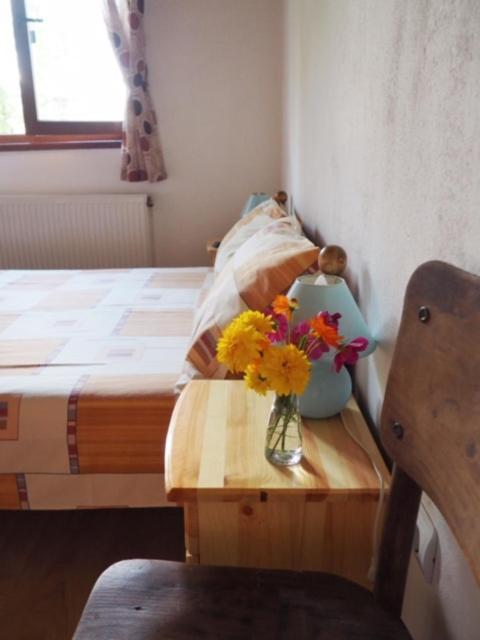 Guest House Yana Tŭrkasheni Zewnętrze zdjęcie