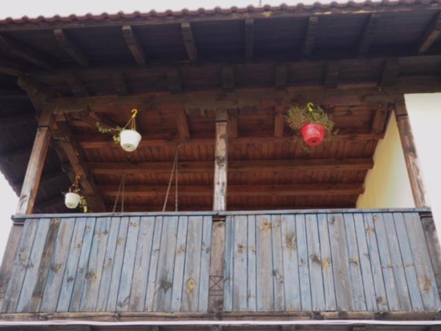 Guest House Yana Tŭrkasheni Zewnętrze zdjęcie