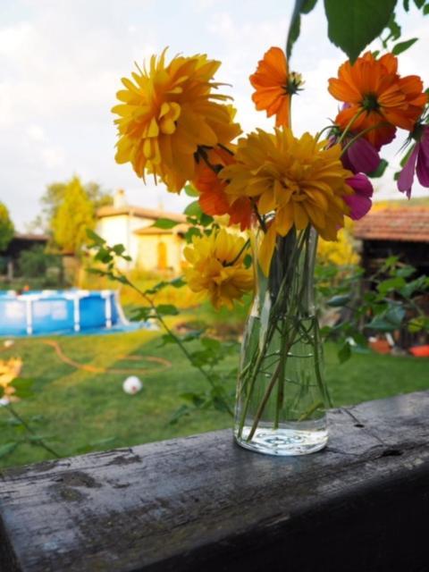 Guest House Yana Tŭrkasheni Zewnętrze zdjęcie
